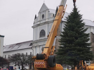 Turnovský vánoční strom
