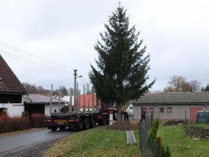 Frýdlantský vánoční strom