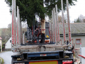 Frýdlantský vánoční strom