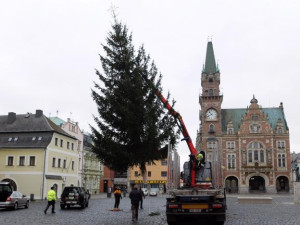 Frýdlantský vánoční strom