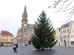 Ve Frýdlantu, Turnově i Jablonci stojí na náměstí vánoční stromy. Všechny jsou smrky