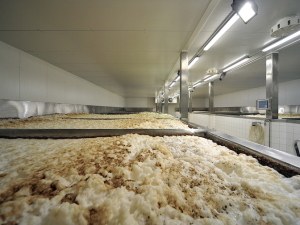 Ředitel pivovaru Svijany: Dál budeme vařit kvalitní české pivo poctivou tradiční technologií