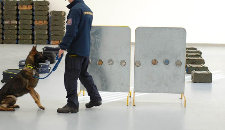 Výcviková hala pro kynology celní správy v Heřmanicích (ilustrační foto)