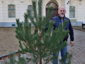 Ředitel Dětského domova Jablonné v Podještědí Vlastimil Faltýnek