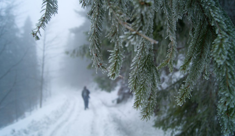 Začíná meteorologická zima, po pátečním ochlazení se oteplí