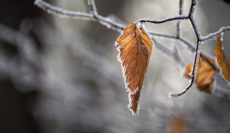 O víkendu bude v Libereckém kraji slabě sněžit. Meteorologové varují před ledovkou