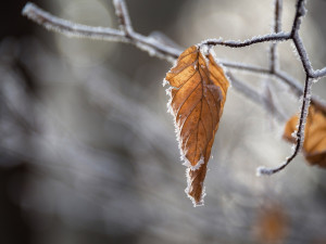 O víkendu bude v Libereckém kraji slabě sněžit. Meteorologové varují před ledovkou