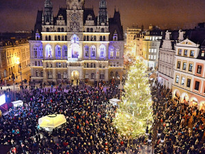 ANKETA: Na severu Čech září vánoční stromy. Kterému dáte svůj hlas?