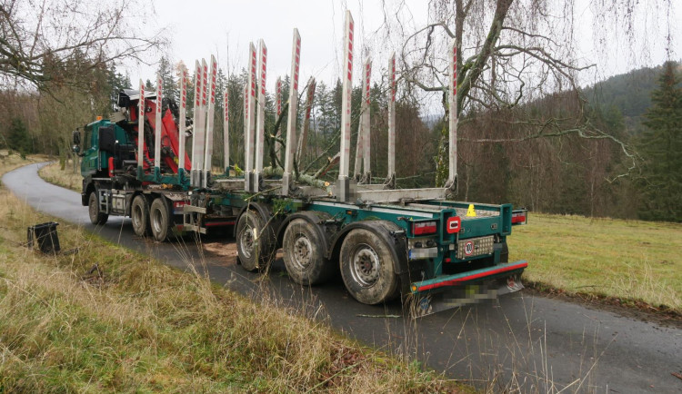 Řidič nákladního vozu narazil do stromu. Dostal pokutu a způsobil škodu za 600 tisíc