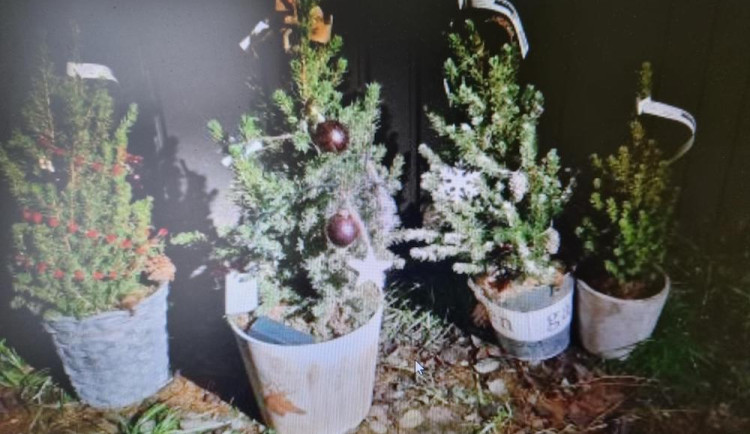 Zloděj u prodejny ukradl čtyři ozdobené stromky. Daleko je nedonesl