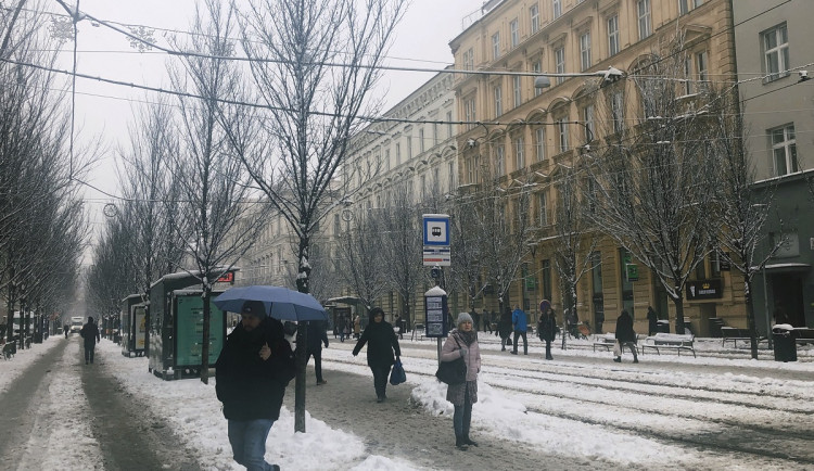 Brno zasypal sníh, dopravní podnik odkláněl šaliny