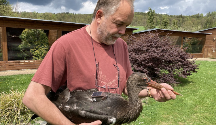 Kromě záchrany zvířat je naším posláním i vzdělávání dětí a společnosti, říká Libor Šejna