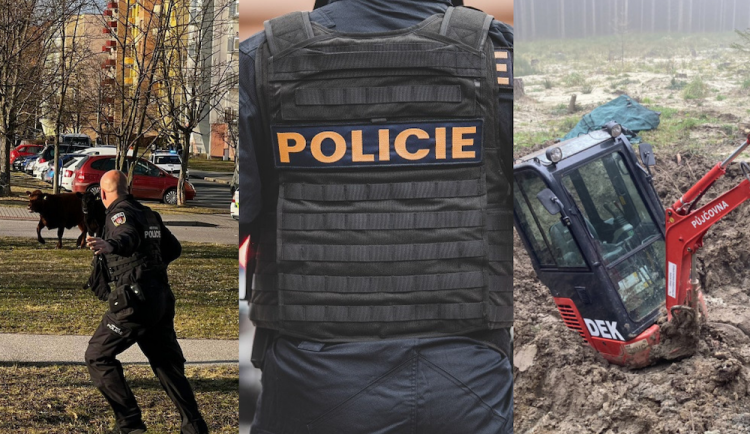 Bizarní příběhy policistů. Krávy v ulicích, ropný inženýr Danny a bagr v bahně