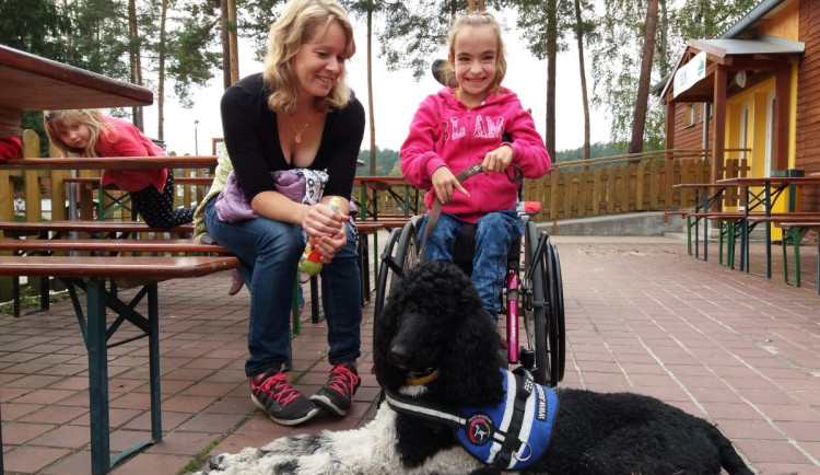 Asistenční pes se lekl petardy a utekl do lesů na Jindřichohradecku