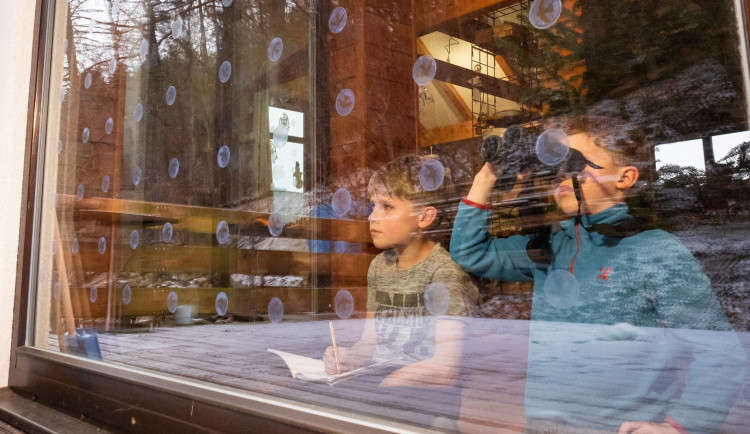 Zapojte se v rámci Ptačí hodiny do sčítání ptáků.