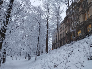 Sněhem zapadal i Liberec.