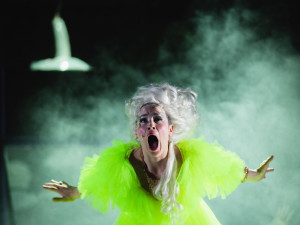 Dramatický příběh Marie Anttoinety uvede v premiéře Šaldovo divadlo