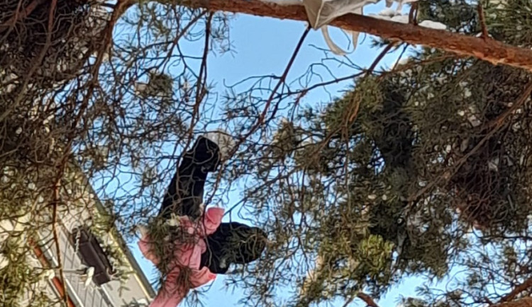 Při hádce házel věci z okna paneláku. Některé zůstaly na stromě