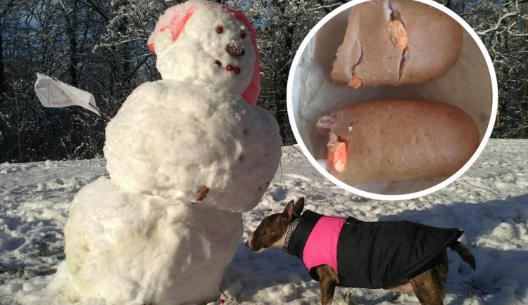 Otrávené návnady našla pejskařka ve Vratislavicích.