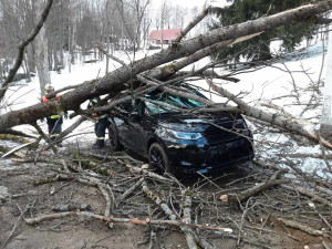 Kvůli silnému větru padají stromy.