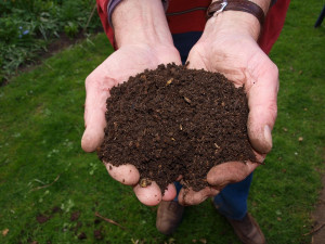 Liberec našel místo pro kompostárnu. Vzniknout má v Chotyni