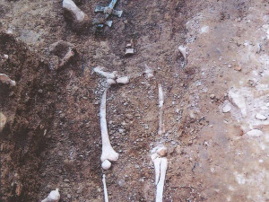 Odborníci národního muzea zkoumají ostatky „českodubské šlechtičny“