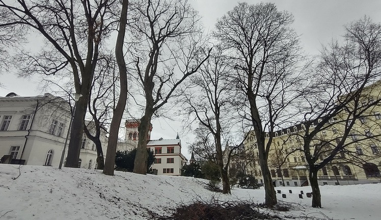 Ošetřovací práce v parku Clam-Gallasů.