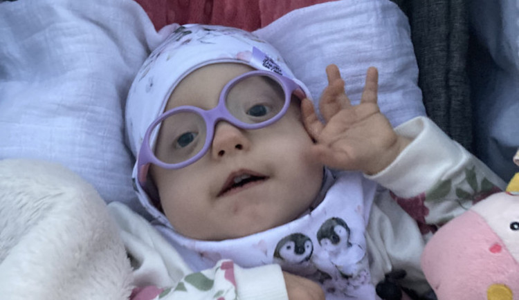 Šipkaři z Liberecka budou opět pomáhat na charitativním turnaji. Přispějí holčičce se vzácnou genetickou vadou