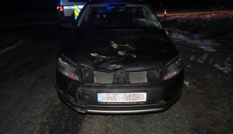 Auto po útoku jelena.