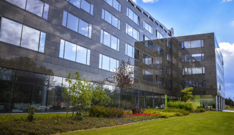 Vědci z olomoucké univerzity dokázali popsat genom bobu obecného. Výzkum může pomoci v zemědělství