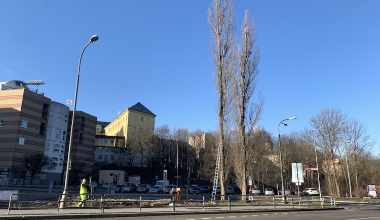Připravovaná rekonstrukce Sokolské začala kácením. Stavbu chce město zahájit v létě