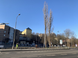 Připravovaná rekonstrukce Sokolské začala kácením. Stavbu chce město zahájit v létě