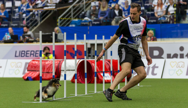 V Liberci se uskuteční Mistrovství světa v agility 2023.