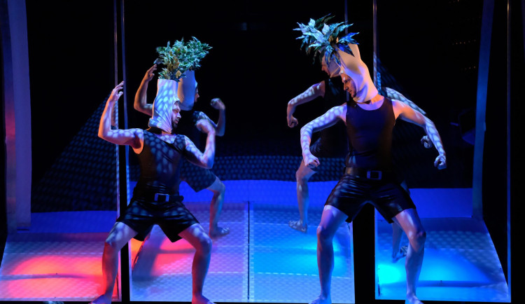 Představení Řekl bych nějakej vtip a pak bych umřel smíchy.