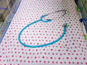 Studentky z Kateřinek našily desítky kusů povlečení pro libereckou neonatologii