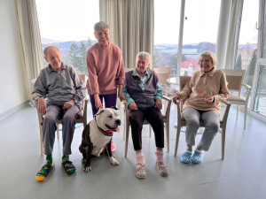 Dárečka a Annie senioři milují. Psi jsou pro ně kamarády i terapeuty