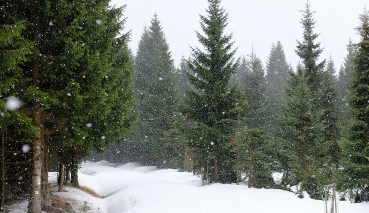 Víkend bude deštivý, v neděli se opět vrátí zima se sněhem