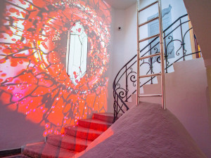 Severočeské muzeum slaví 150 let. K výročí připravilo speciální výstavy i suvenýry