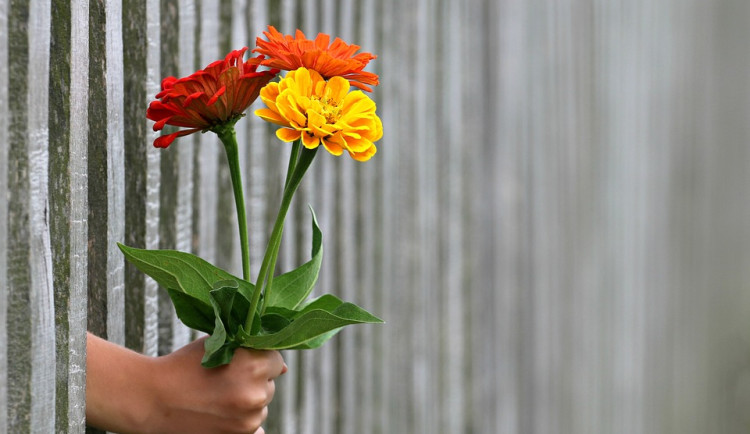 Ulicí se měl pohybovat muž se střelnou zbraní. Byla to květina