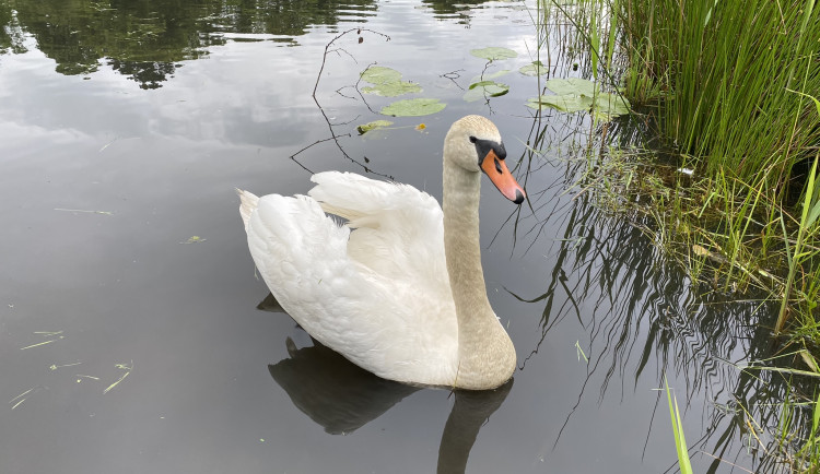 Lokality, které vytvořila nezisková organizace, jsou veřejně přístupné.