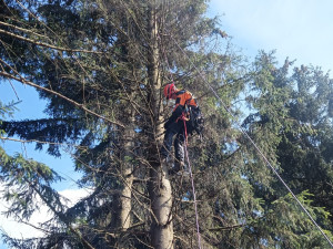 Hasiči zachraňovali paraglidistu. Uvízl za Ještědem ve větvích stromů