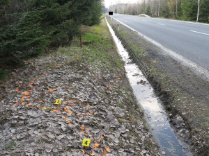 Mladíkovi se jízda na motorce zrovna nevyvedla. Mohl za to alkohol