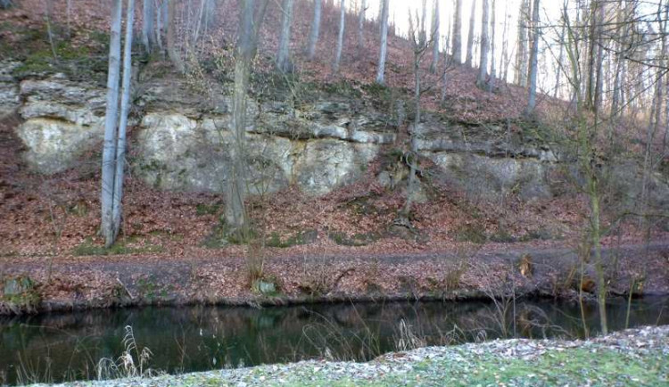 Turistická stezka v Dolánkách u Turnova.
