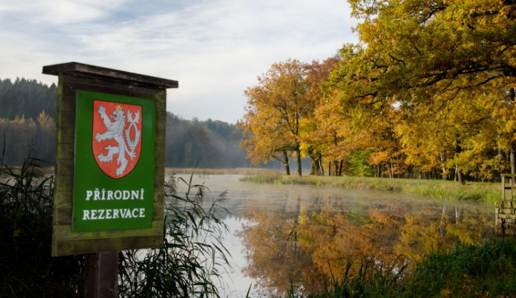 Přírodní rezervace Meandry Smědé.