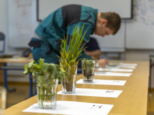 Celorepublikovou Zemědělskou olympiádu ve Frýdlantu vyhrál Matúš Širgel. Střední škoda hospodářská a lesnická Frýdlant skončila třetí.