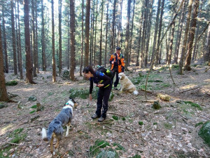 Policie stále pátrá po pohřešovaném muži, nasazen byl vrtulník, psovodi i dron
