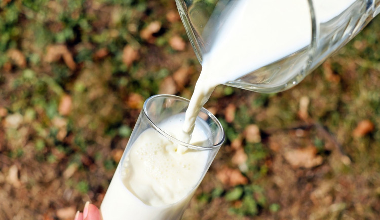 Madeta kvůli vládním škrtům dotací zřejmě ukončí dodávky mléka do škol