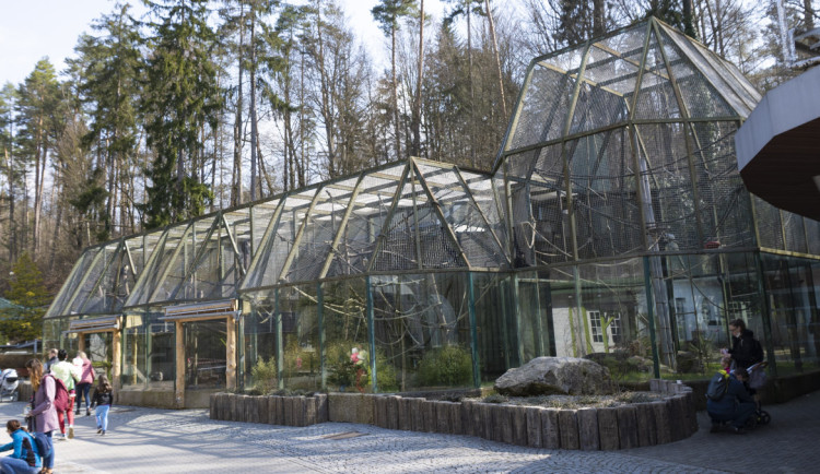 V liberecké zoo je návštěvníkům po téměř osmi měsících přístupný pavilon opic