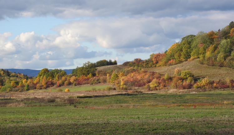 Na Frýdlantsku vyroste velký biokoridor.
