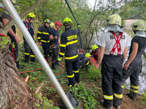 Hasiči zachránili koně, který uvízl v bahně. Použili síť a kladku